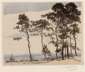 Pinos No II